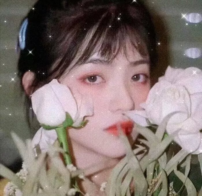 追爱谎言
