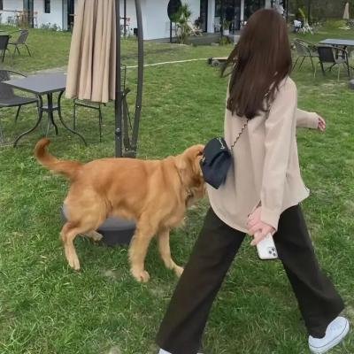 部门报告